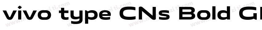 vivo type CNs Bold GB字体转换
